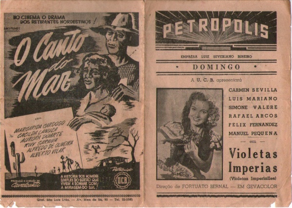 Cinéfilos curtindo um filme